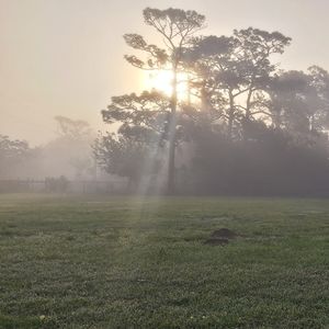 Meet your Posher, Krystal